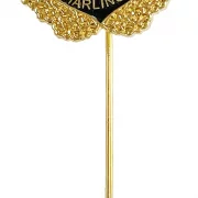 Anstecknadel in gold mit Vereinslogo