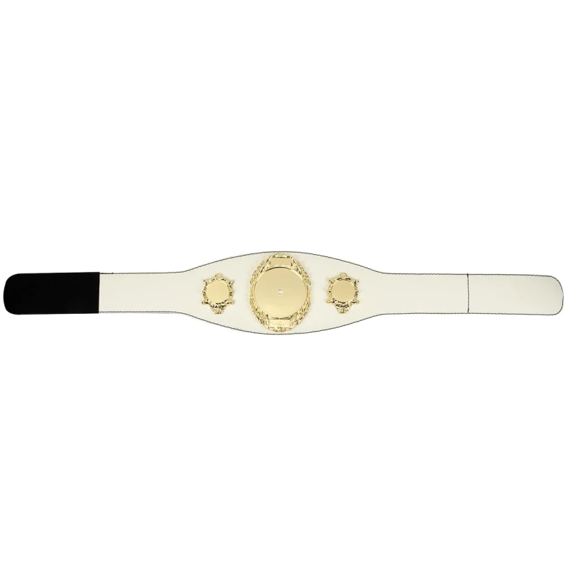 Meistergürtel Boxen/Kampfsport