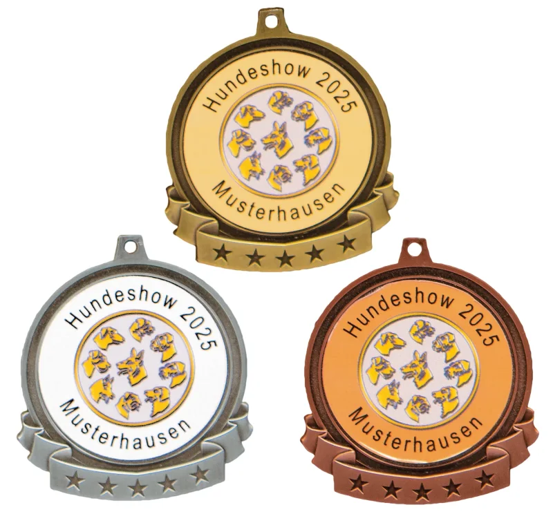 Medaille neutral gold silber bronze