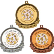 Medaille neutral gold silber bronze