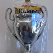 Champ-Cup NEU gold silber