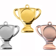 Bambini Cup Medaille gold silber bronze