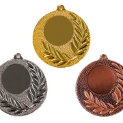 Medaille Ø 40 mm in  Gold, Silber und Bronze