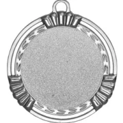 PD S 9176 Medaille Ø 70 mm