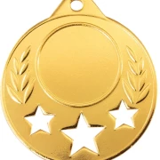 PD S 9358 Medal with stars Ø 50 mm