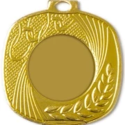 PD S 9254 Medal Ø 45 mm