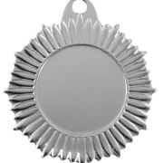 PD S 9353 Medal Ø 45 mm