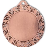 PD S 9310 Medaille Ø 70mm