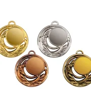 Medaille Ø 40 mm in  Gold, Silber und Bronze