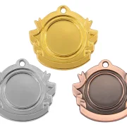 Medaille Ø 40 mm in  Gold, Silber und Bronze