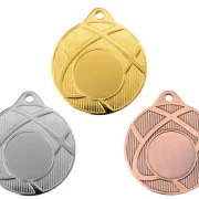 Medaille Ø 40 mm in  Gold, Silber und Bronze