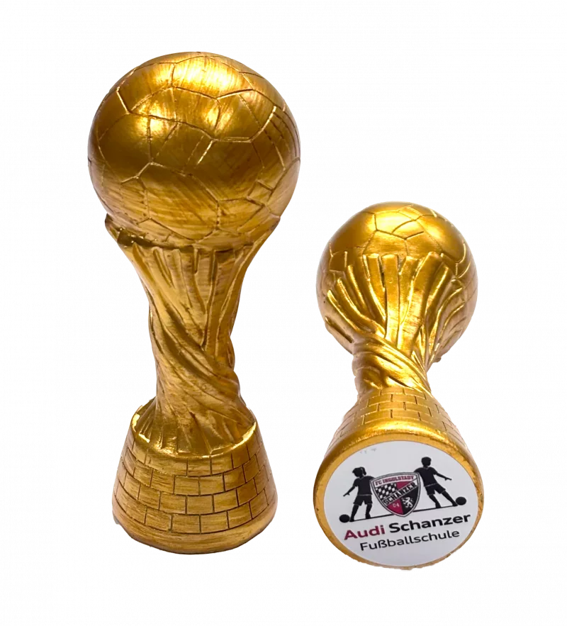PD W002 WM Star-Cup aus Resin