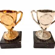 PDR C222 Stückpreis0 1,50 Euro Henkelpokale 10 Stück