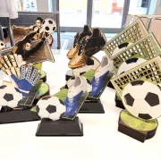 PDR Holz-Trophäe Fußball in verschiedenen Designs 41 Stück