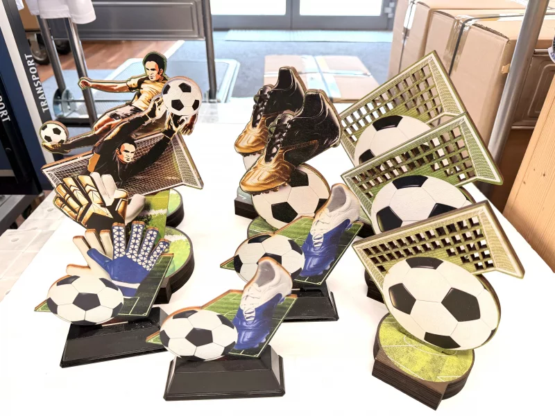 PDR Holz-Trophäe Fußball in verschiedenen Designs 41 Stück