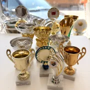 PDR Mix of trophies in various shapes 125 pieces