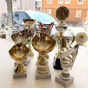 PDR Mix of trophies in various shapes 125 pieces