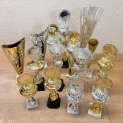 PDR Mix of trophies in various shapes 30 pieces