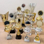 PDR Mix of trophies in various shapes 30 pieces