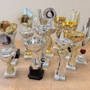 PDR Mix of trophies in various shapes 30 pieces
