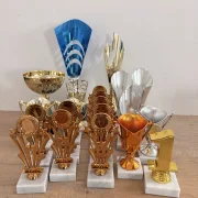 PDR Mix of trophies in various shapes 125 pieces