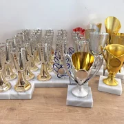 PDR Mix of trophies in various shapes 125 pieces