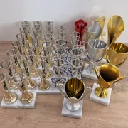 PDR Mix of trophies in various shapes 125 pieces
